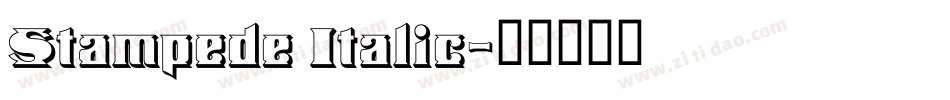 Stampede Italic字体转换